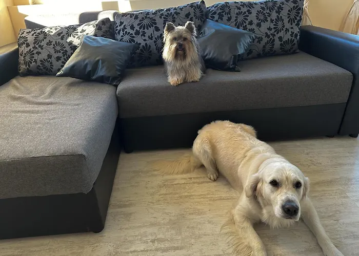 Joy 公寓 瓦爾納